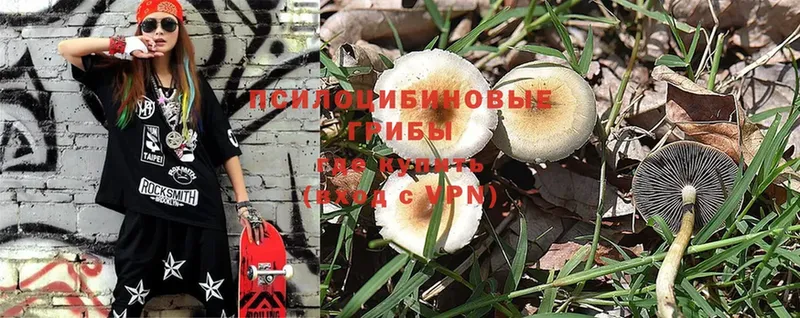 Псилоцибиновые грибы Psilocybine cubensis  mega ТОР  Калач-на-Дону  где можно купить  